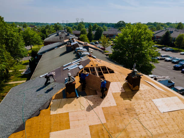 Best Storm Damage Roof Repair  in Amherst, WI