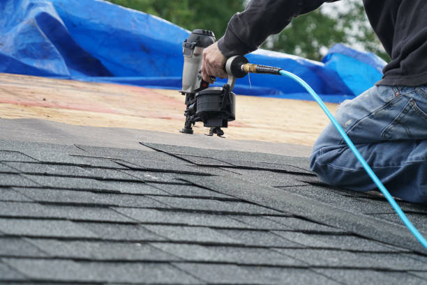 Best Local Roofing Companies  in Amherst, WI