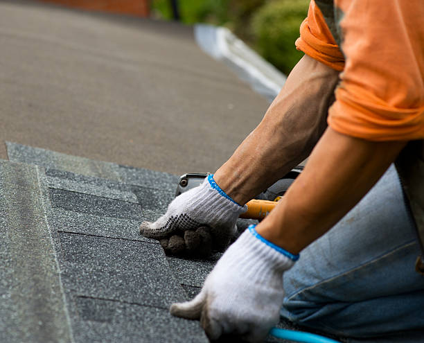 Best Roof Repair Services  in Amherst, WI