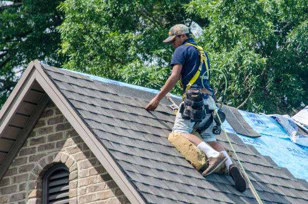 Best Roof Waterproofing Services  in Amherst, WI